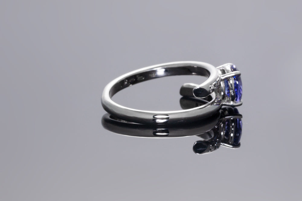 Midnight Halo