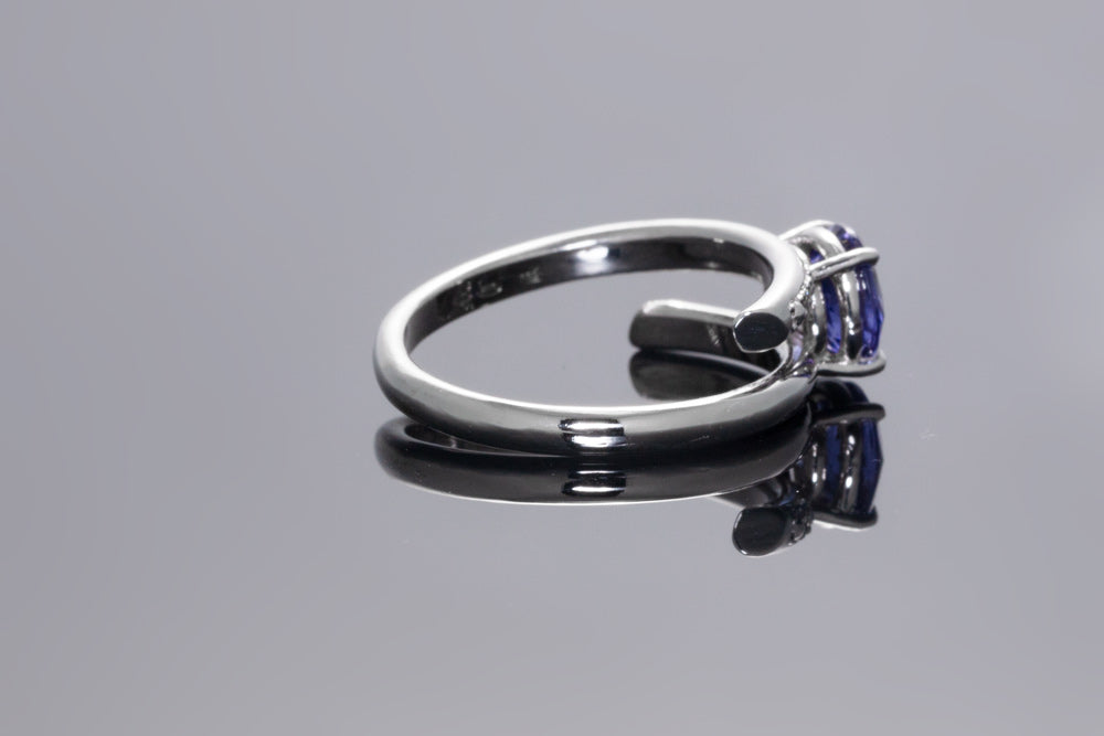 Midnight Halo