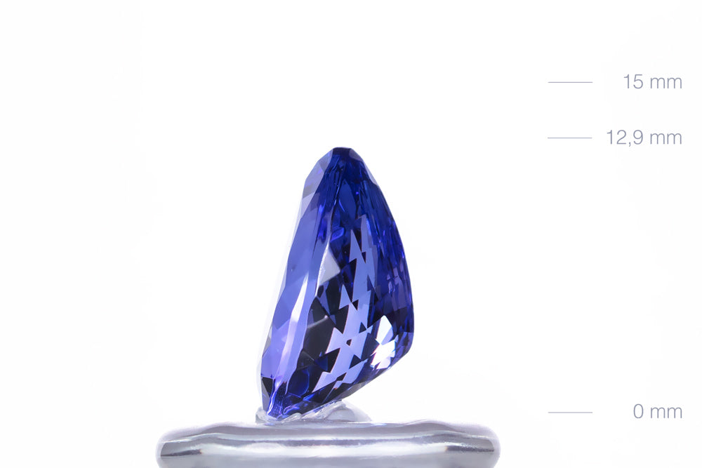 Tanzanite Oval 10,9ct