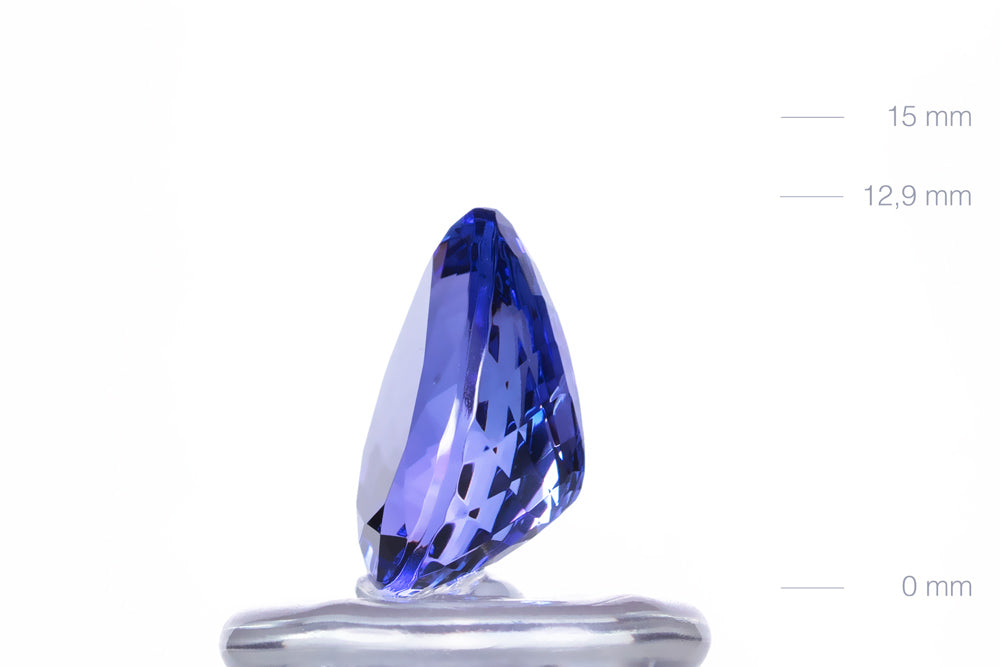 Tanzanite Oval 10,9ct