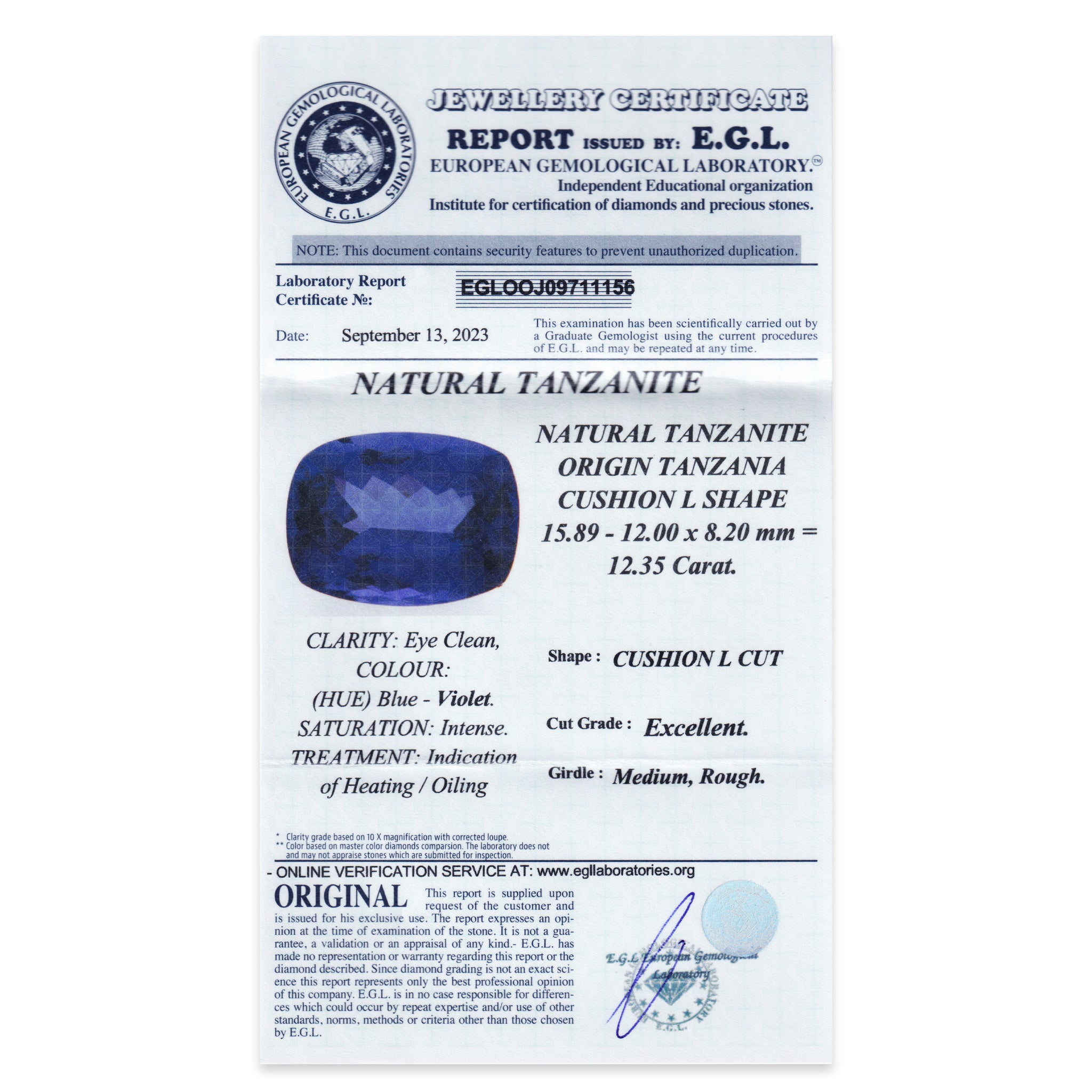 Tanzanite Cushion 12,35 ct