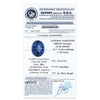 Tanzanite Oval 7,05 ct